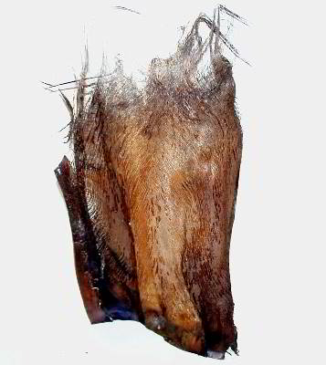 1354